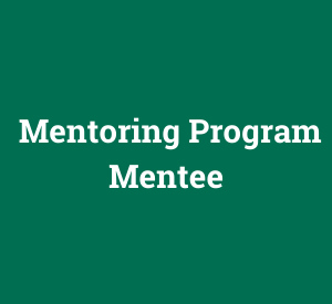 Mentoring Program 2025 | 9th Wave